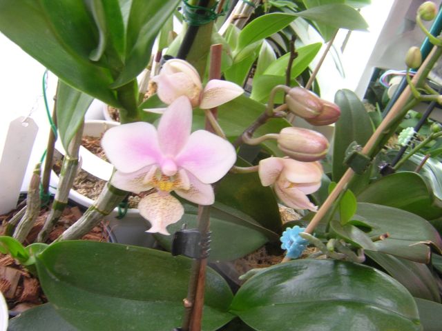 DSCN4569.jpg