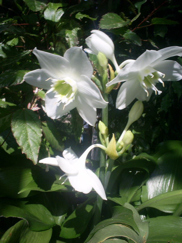 PIC_0057f.jpg