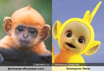 обезя.jpg
