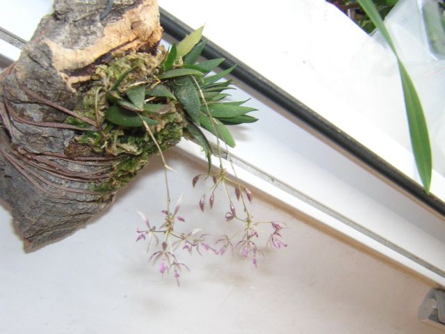DSCN4629.jpg