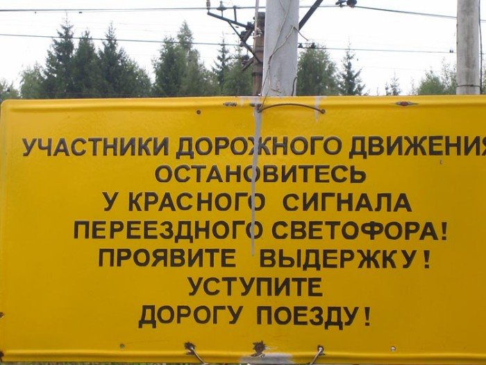 50288.jpg