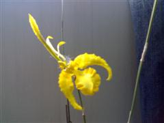 00701_5.jpg