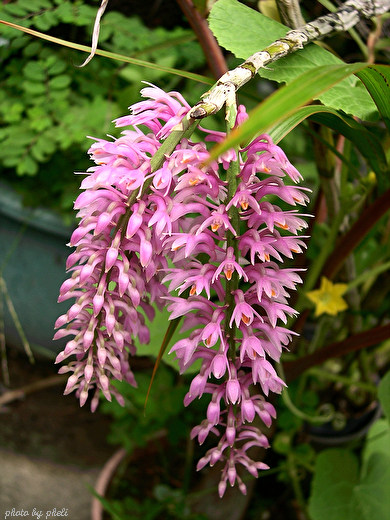 DSCN6105.JPG