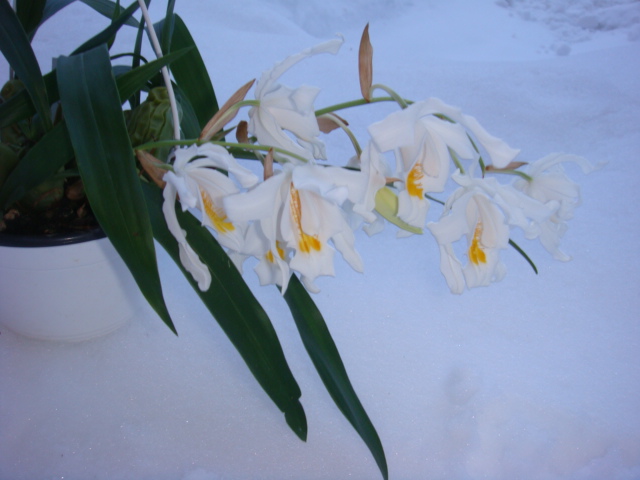DSC04701.JPG
