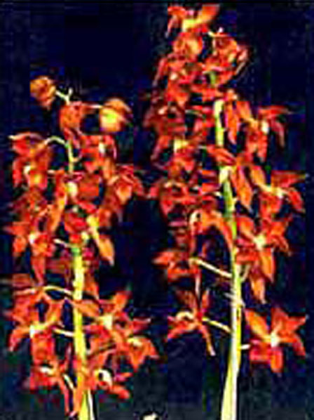 JB2318.jpg