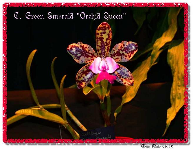emerald02.jpg