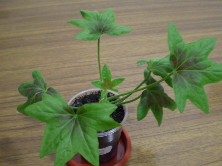 P101004837.jpg