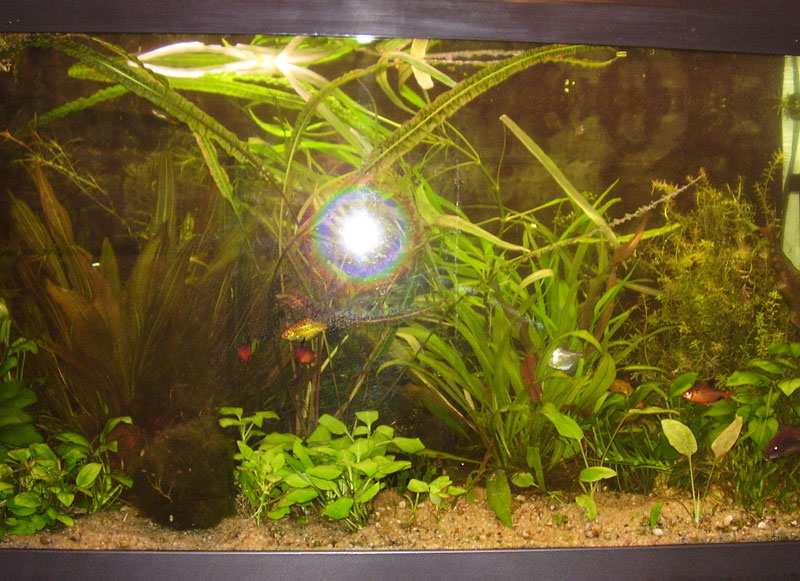 P7210006_aqua_w.jpg