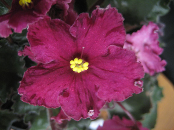 IMG_8476.JPG