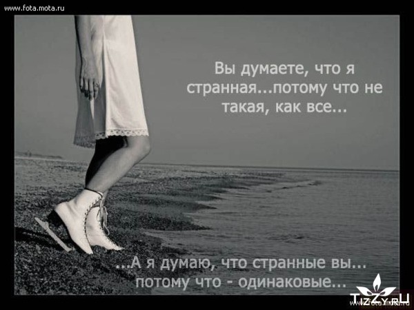 52533966_590dca72c2dc.jpg