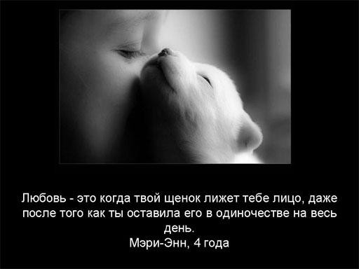 146736_252182.jpg