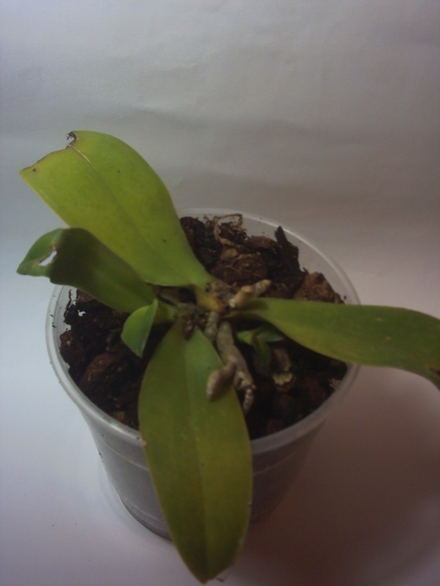 PICT0120.jpg