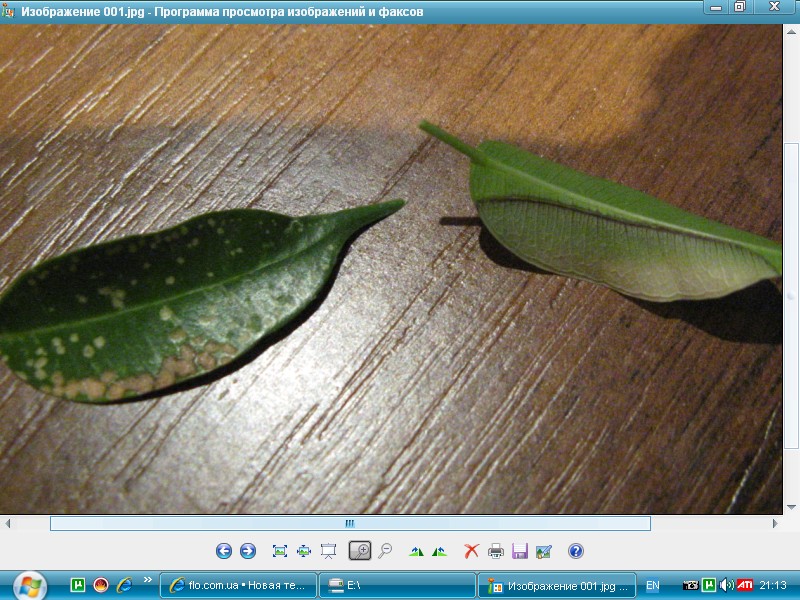 Screenshot_1.jpg
