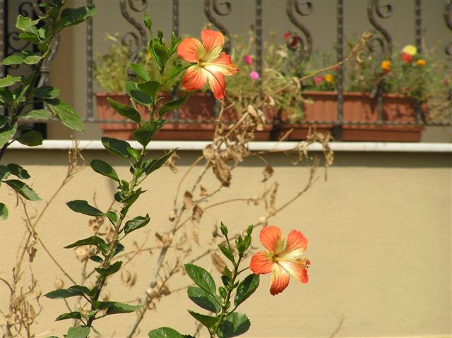 PA010017.JPG