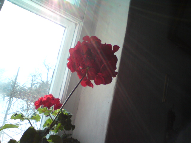 DSC00509.JPG