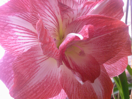 Photo-0002f.jpg
