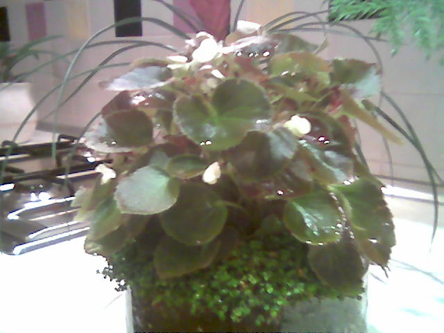 Image005.jpg