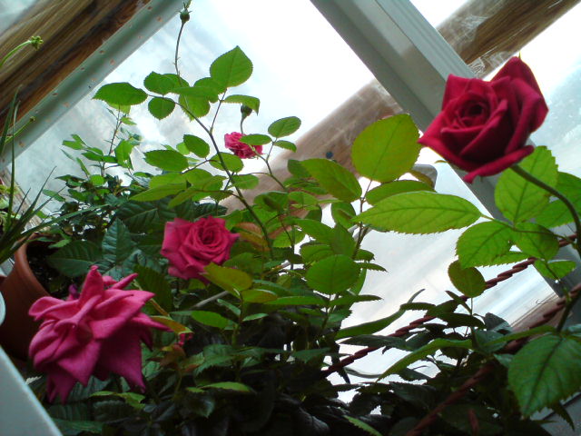DSC00657.JPG