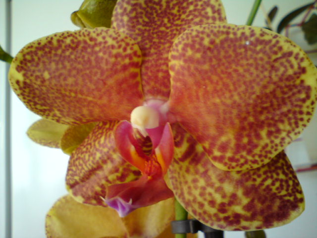 DSC00635.JPG
