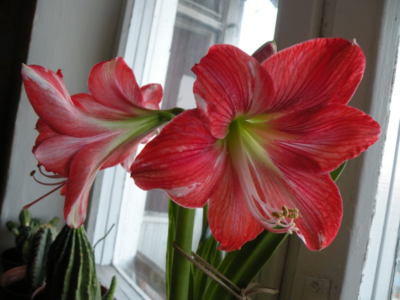 DSCN2319.JPG