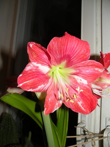 DSCN2331.JPG