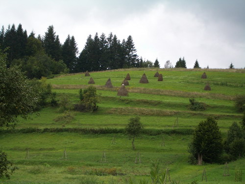 land 05.jpg