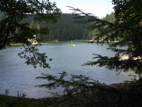sinevir 01.jpg