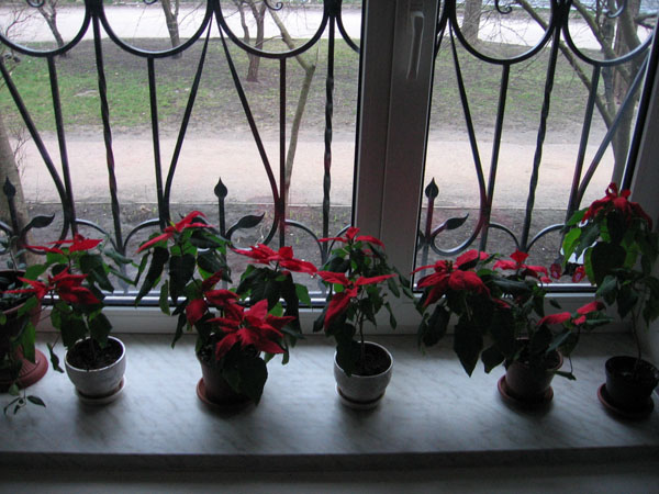 IMG_3983.JPG