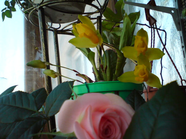DSC00755.JPG
