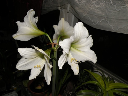 DSCN2818.JPG