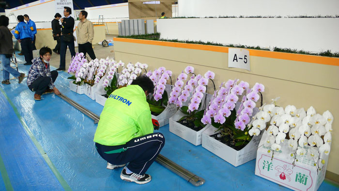 P1080333.jpg