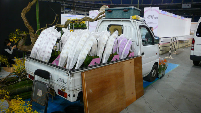 P1080339.jpg