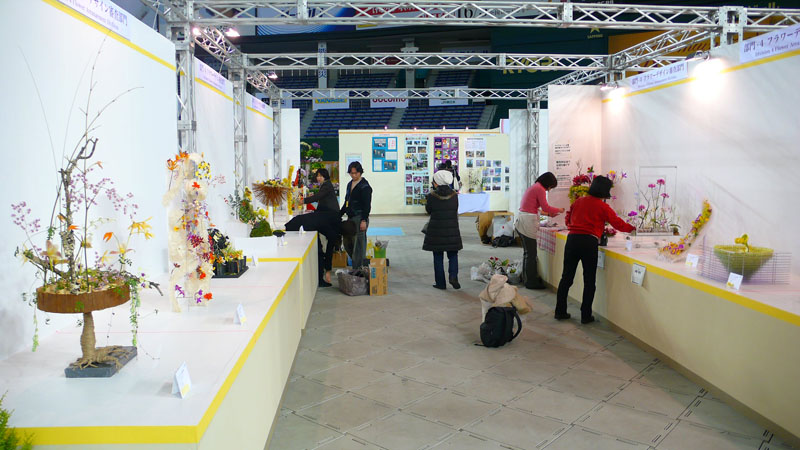 P1080429.jpg