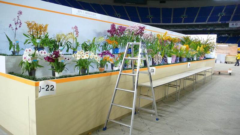 P1080432.jpg