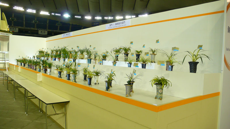 P1080433.jpg