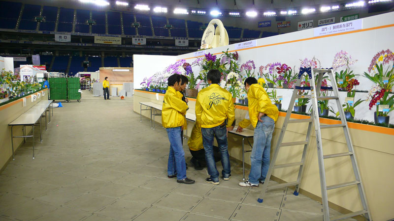 P1080435.jpg