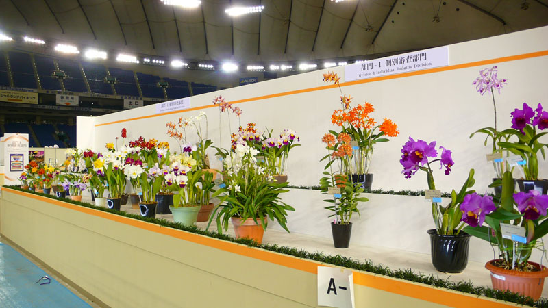 P1080439.jpg