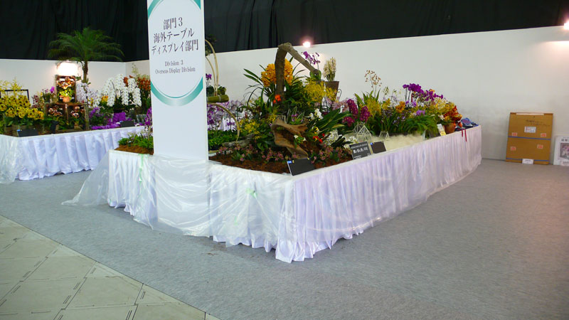 P1080449.jpg