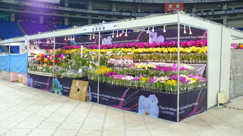 P1080465.jpg