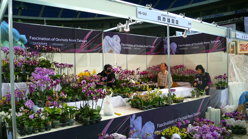 P1080467.jpg