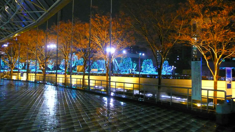 P1080494.jpg