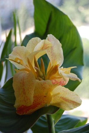 DSC_0176.JPG