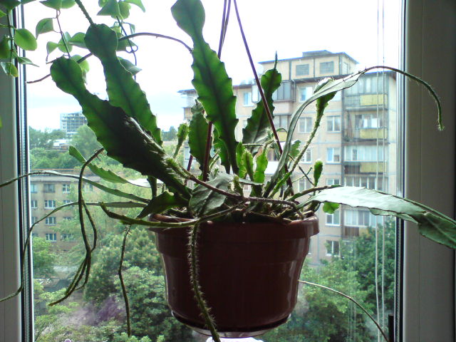 DSC01025.JPG