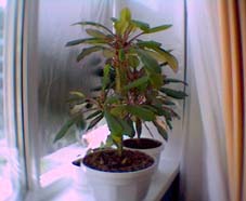 060904_165258_2.jpg