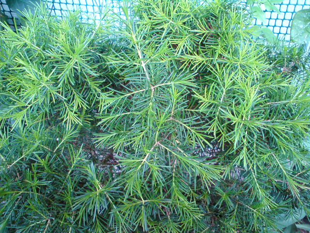 DSC01093.JPG