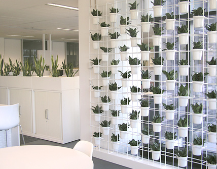 vertical-wall-white.jpg