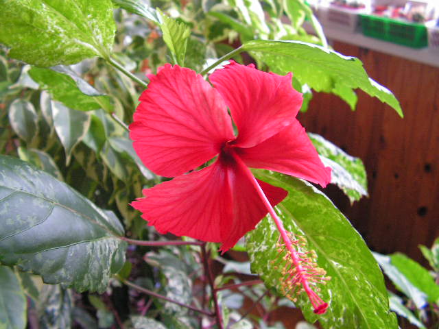 2006_09_06.jpg