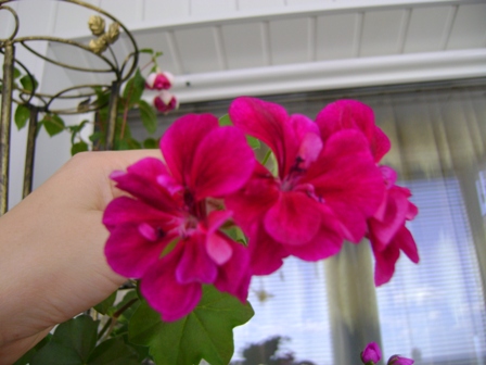 DSC01075.JPG