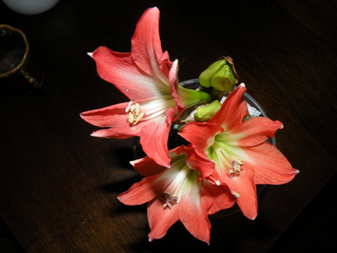 DSCN3310a.jpg