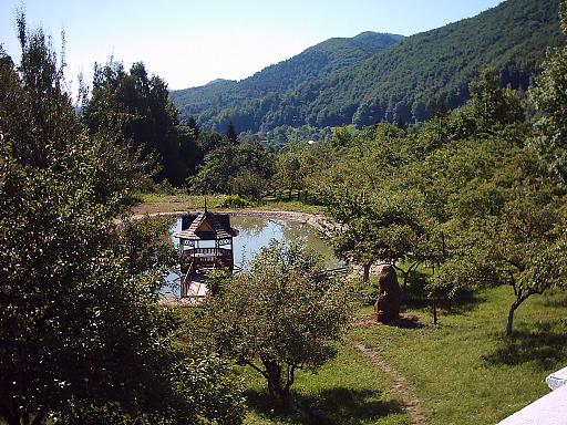 IMG_5891w.JPG